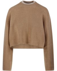 Max Mara - Truien & Vesten ,Bruin ,Wol Funale Double Neck Sweater - Lyst