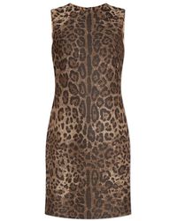 Dolce & Gabbana - Kleid mit tiermotiv - Lyst