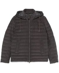 Herno - Jassen ,Zwart ,Katoen Katoenen Jas - Lyst