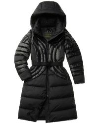 Blauer - Parkas - Lyst