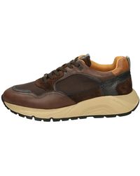 Ambitious - Schoenen ,Bruin ,Leer Sneakers Basse - Lyst