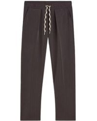 Summum - Broeken ,Bruin ,Polyester Tapered Pants Pinstripe Scuba - Lyst