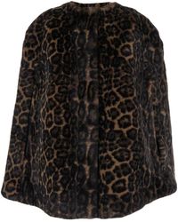 Apparis - Leopard Motif Ecofur Bruine Bontjas - Lyst