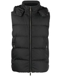 Moorer - Jassen ,Zwart ,Hoge Hals Gewatteerd Gilet Zwart Vest - Lyst