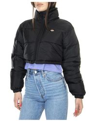 Dickies - Winter Jackets - Lyst