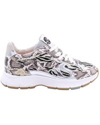 Floris Van Bommel - Sneakers - Lyst