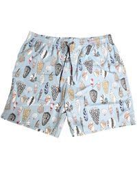 Dolce & Gabbana - Blaue Muschel-Print Badehose - Lyst