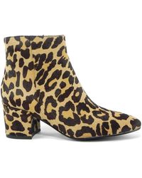 Bibi Lou - Ankle Boots - Lyst