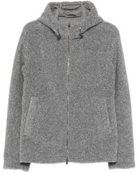 Herno - Hoodies & Sweatvesten ,Grijs Jassen Grijs - Lyst