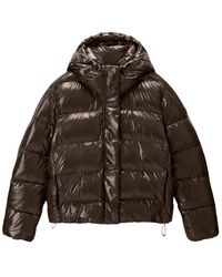 Napapijri - Winter Jackets - Lyst