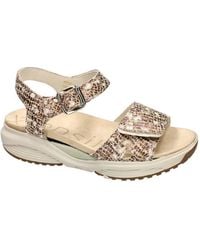 Xsensible - Schoenen ,Leer Skala Sandal - Lyst