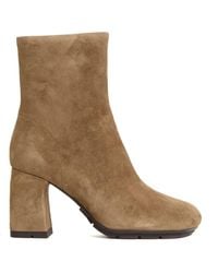 Ash - Suede Ankle Boot - Lyst