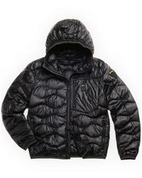 Blauer - Wave Steppjacke - Lyst