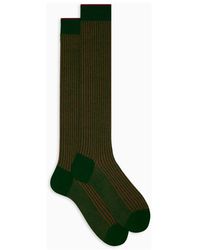 Gallo - Herren Lange Grüne Plattierte Baumwollsocken - Lyst