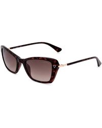 Guess Gu7654 sunglasses - Marrone