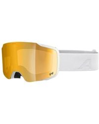 Alpina - Ski Accessories - Lyst