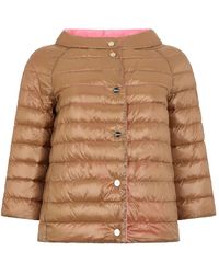 Herno - Gewatteerde Jas - Lyst