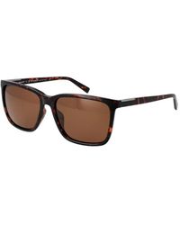 Timberland - Brown Plastic Sunglasses - Lyst