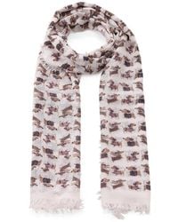 Hemisphere - Winter Scarves - Lyst