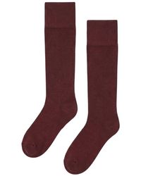 Wolford - Socks - Lyst