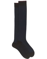 Gallo - Herren Lange Woll- Und Baumwollsocken - Lyst