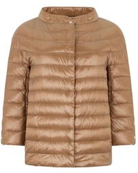 Herno - Jassen ,Bruin ,Coats - Lyst