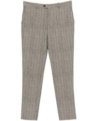 Circolo 1901 - Suit Trousers - Lyst