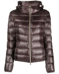 Herno - Winter Jackets - Lyst