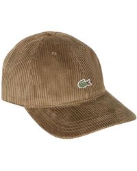 Lacoste - Katoenen Velours Pet - Lyst