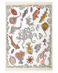 Inoui Edition - Winter Scarves - Lyst