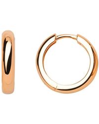 XENOX - Roségold Creolen Ohrringe - Lyst