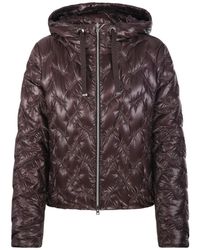 Herno - Jassen ,Bruin ,Winter Jassen - Lyst