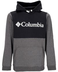 Columbia - Hoodies & Sweatvesten ,Grijs ,Katoen Colorblock Hoodie Met Kangaroo Zak - Lyst