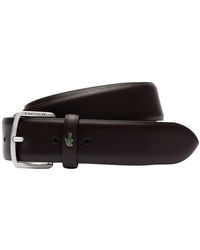 Lacoste - Core collection brauner gürtel - Lyst
