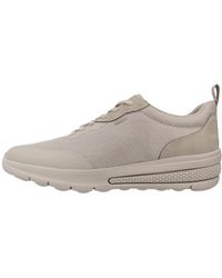 Geox - U Activart - Lyst