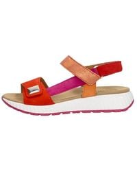 Gabor - Sandalen Plat - Lyst