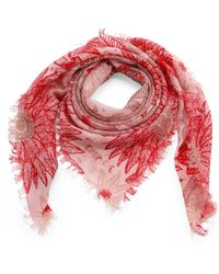 Hemisphere - Accessoires ,Roze ,Kasjmier Zijdeachtige Sjaals - Lyst