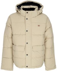 Dickies - Crema Irlandesa De Amortiguador - Lyst