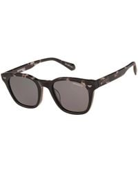 Superdry - Zeitlose Sonnenbrille Mit Klassischem Rundrahmen - Lyst