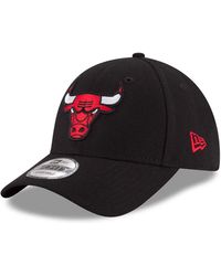 KTZ - Accessoires ,Zwart ,Polyester Chicago Bulls The League Pet - Lyst