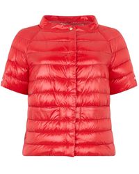 Herno - Jassen ,Rood ,Leer Kort Gewatteerd Jack - Lyst