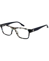 Converse - Blue Acetate Glasses (frames) - Lyst