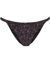 Cortana - Bikini Brief Hedy Print - Lyst