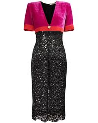 Roberto Cavalli - Kleedjes ,Paars ,Panterhoofd Fluweel Kant Jurk - Lyst