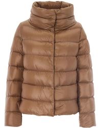 Herno - Jassen ,Bruin ,Leer Kort Donsjack - Lyst