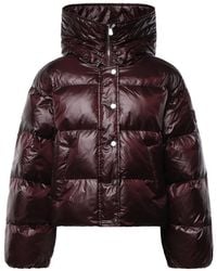 Pinko - Winter Jackets - Lyst