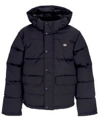 Dickies - Winter Jackets - Lyst