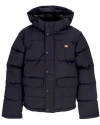 Dickies - Glacier View Puffer Donsjack Voor Zwart - Lyst