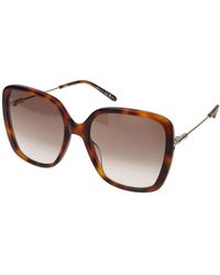 Chloé - Havana brown shaded sonnenbrille,nude/blue shaded sunglasses - Lyst