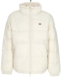 Dickies - Winter Jackets - Lyst